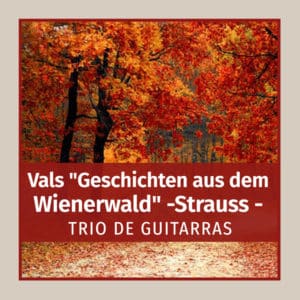 Vals "Geschichten aus dem Wienerwald" (Strauss)
