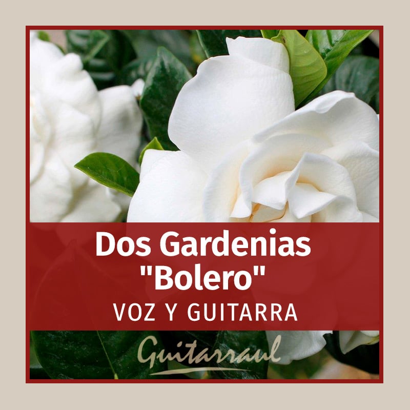 Dos Gardenias - Bolero (Mexico) - Guitarraul