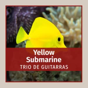 Yellow Submarine - TRIO