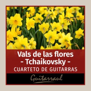 Vals de las flores "El cascanueces" 4 gts (Tchaikovsky)