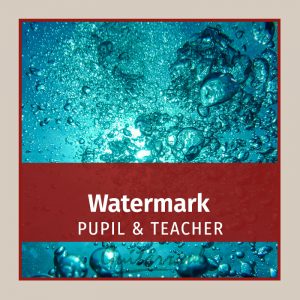 Watermark (Enya ) - 2 gts
