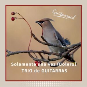 Solamente una vez "Bolero" - Trío