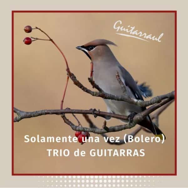 Solamente una vez "Bolero" - Trío