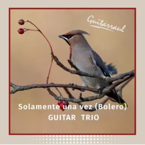 Solamente una vez "Bolero" - Guitar Trio