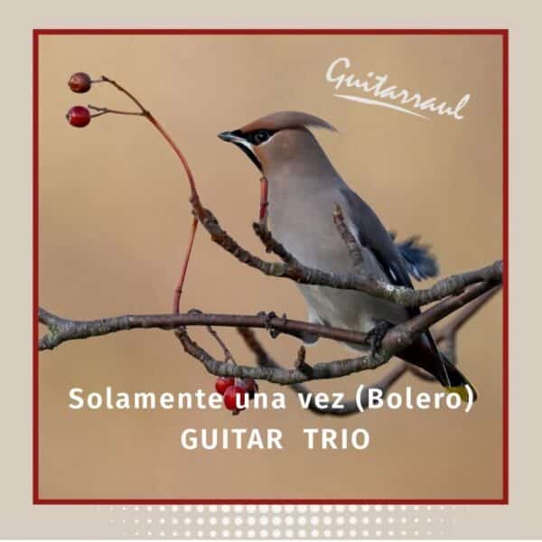 Solamente una vez "Bolero" - Guitar Trio